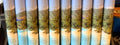 Whispers of Trunk Bay – Incense Tube | Wax N Whisper VI