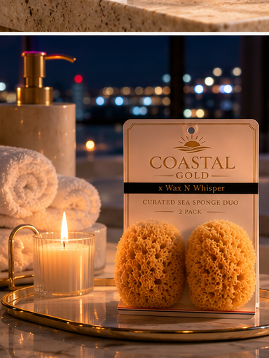Coastal Gold Sea Sponge Duo