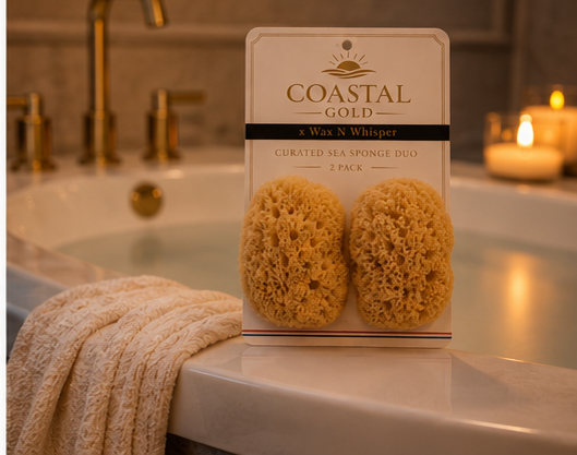 Coastal Gold Sea Sponge Duo
